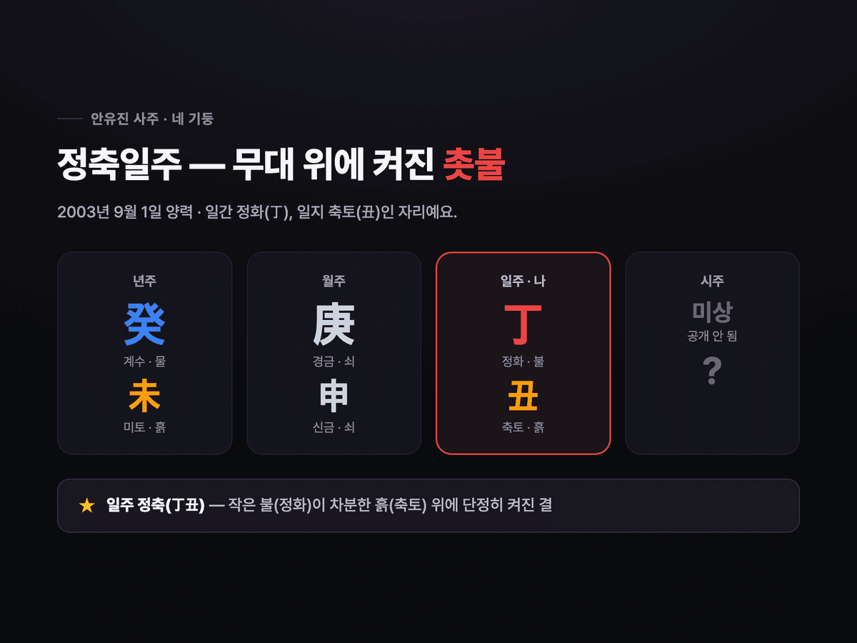 안유진 사주 네 기둥 — 년주 계미, 월주 경신, 일주 정축(강조), 시주 미상