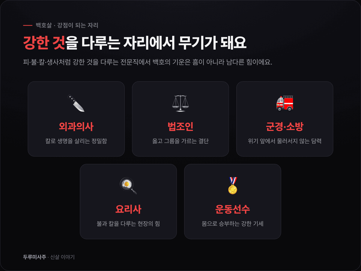 백호살이 강점이 되는 직업군(외과의사·법조인·군경소방·요리사·운동선수)을 아이콘과 함께 보여주는 카드형 인포그래픽