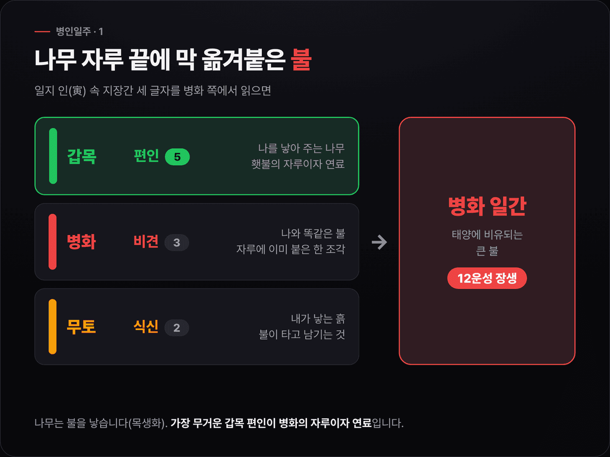 병인일주의 일지 인 안에 든 갑목 편인 5, 병화 비견 3, 무토 식신 2를 병화 일간 쪽에서 읽고, 병화가 인에서 12운성 장생을 맞는 구조를 나무 자루 횃불에 빗댄 도식