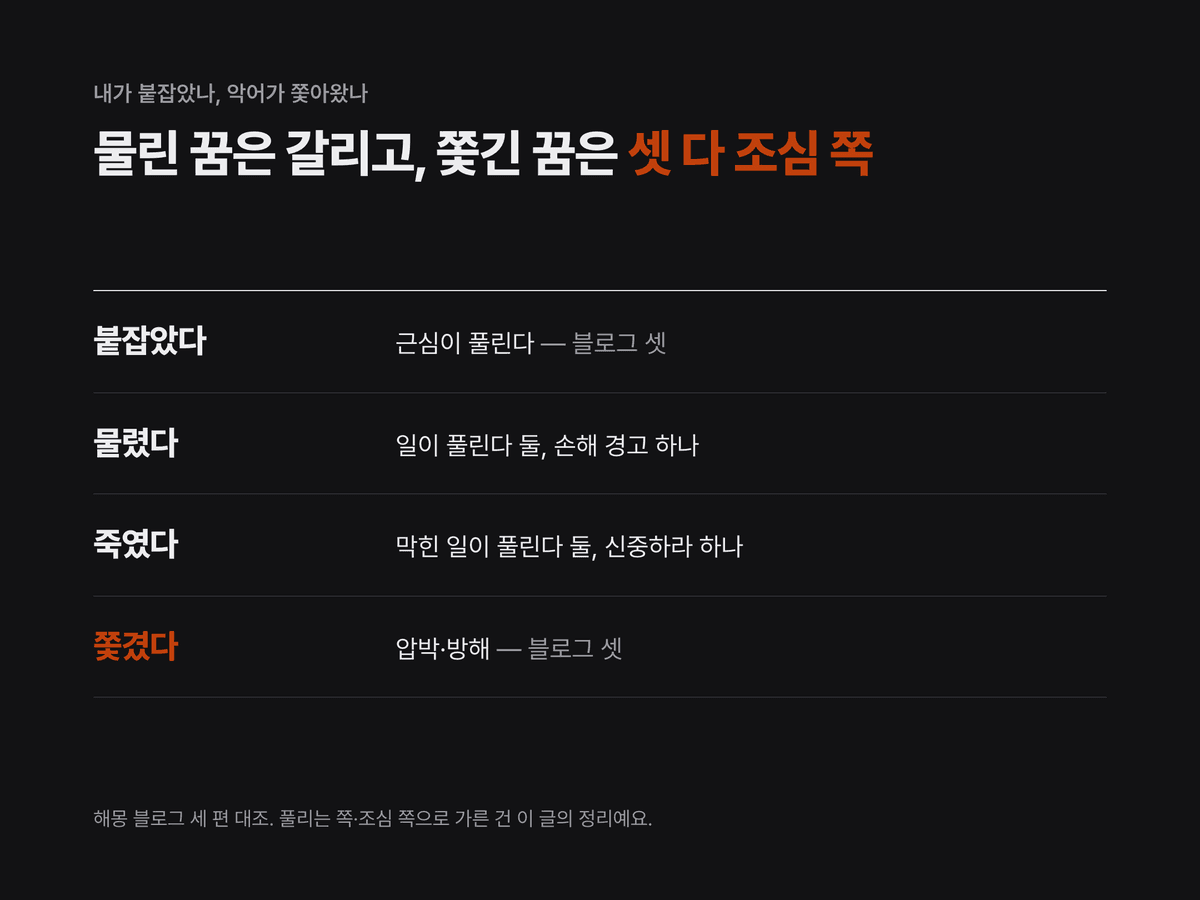 악어를 붙잡은 꿈, 물린 꿈, 죽인 꿈, 쫓긴 꿈 네 장면을 해몽 블로그 세 편이 풀리는 쪽과 조심 쪽 중 어디로 적었는지 줄마다 적은 카드