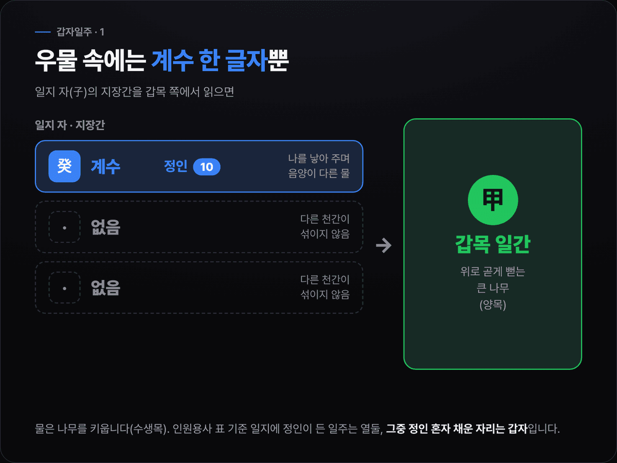 갑자일주의 일지 자 안에 계수 정인 한 글자만 들어 있고 나머지 두 칸은 비어 있으며, 그 계수가 갑목 일간을 키우는 구조를 그린 도식