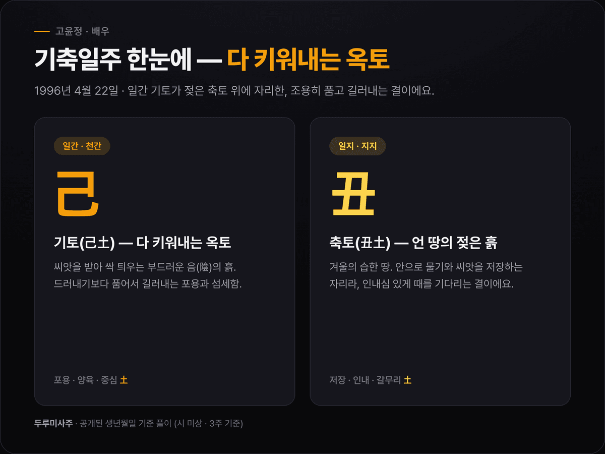 고윤정 사주 세 기둥 — 년주 병자, 월주 임진, 일주 기축(강조), 시주 미상