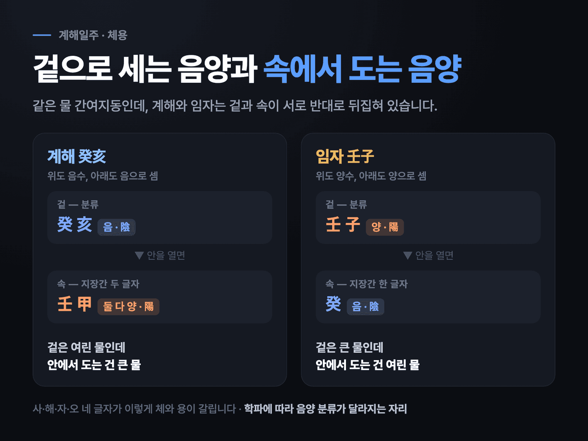 계해는 겉이 음이고 지장간 임·갑이 모두 양인 반면 임자는 겉이 양이고 지장간 계가 음인, 두 일주의 체용이 서로 거울처럼 뒤집힌 구조를 보여 주는 도식