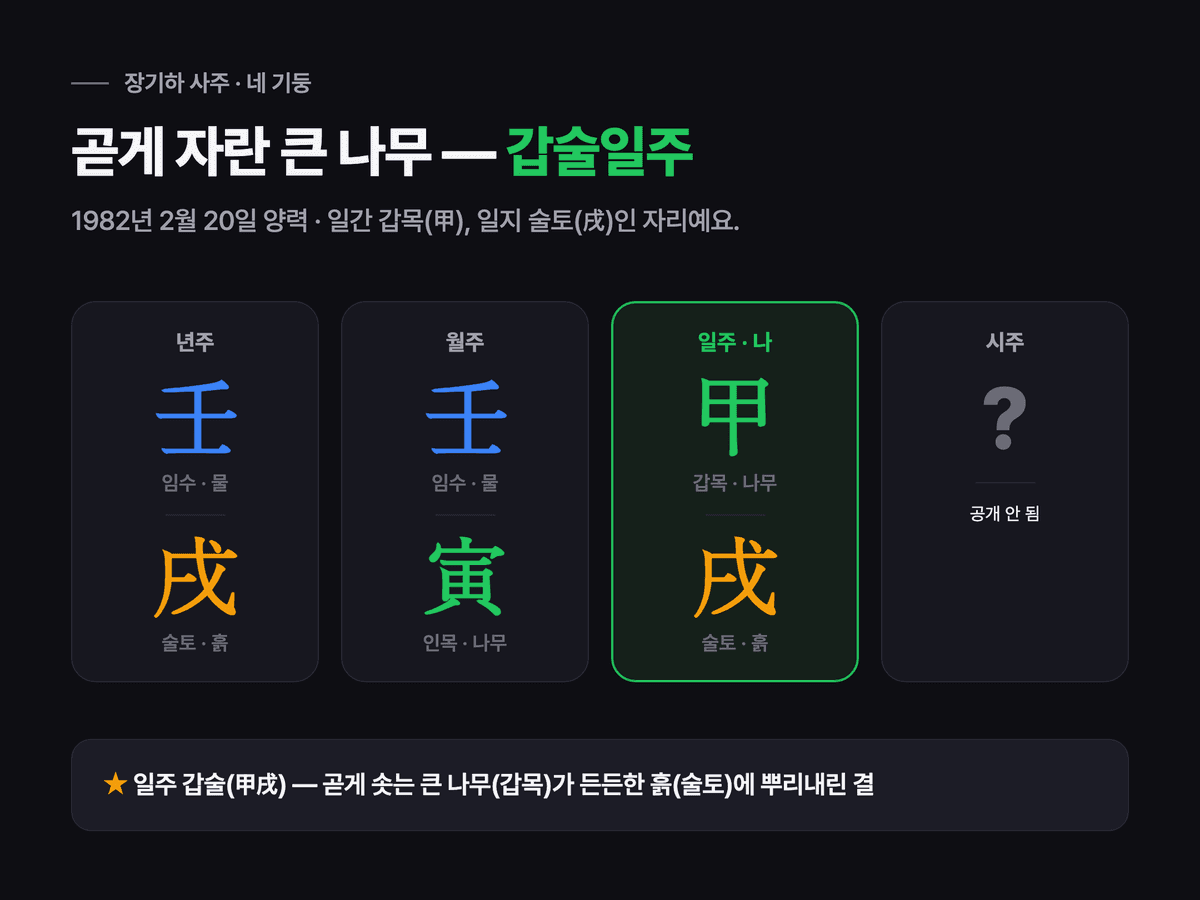 장기하 사주 네 기둥 표 — 년주 임술, 월주 임인, 일주 갑술, 시주 미상. 일주 갑술 강조