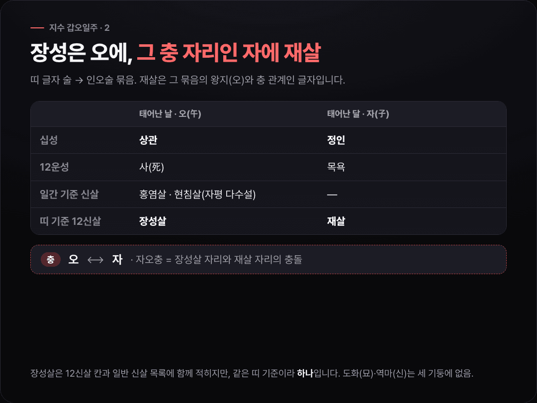 날 기둥 오에 상관·12운성 사·홍염살·현침살·장성살이, 달 기둥 자에 정인·12운성 목욕·재살이 붙어 있고 두 칸 사이에 자오충이 표시된 비교 카드