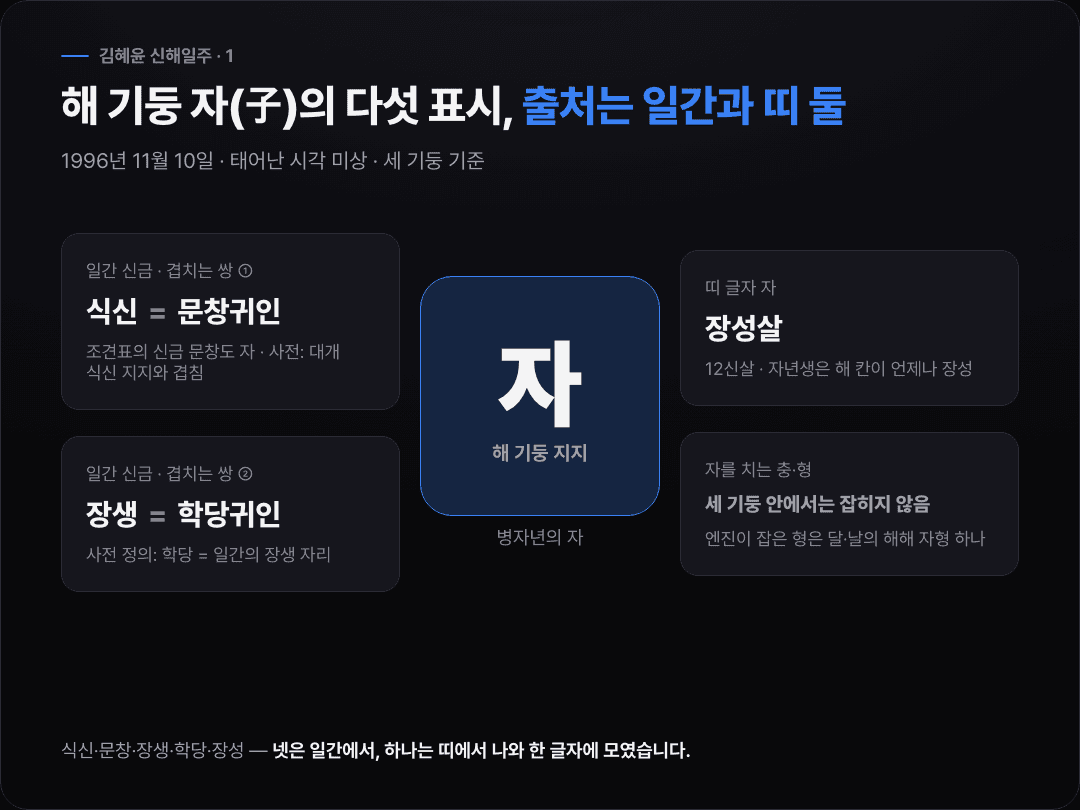 해 기둥 자(子)를 가운데 두고 일간 쪽의 식신·문창귀인 겹침, 장생·학당귀인 겹침 두 쌍과 띠 쪽의 장성살 하나가 모이는 출처 도식