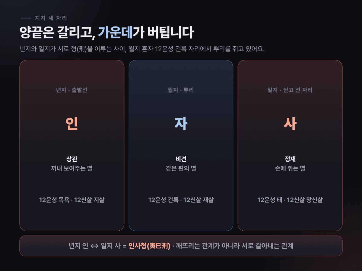 년지 인과 일지 사가 인사형으로 부딪히고 그 사이 월지 자가 건록으로 뿌리를 잡고 있는 관계를 보여주는 도식