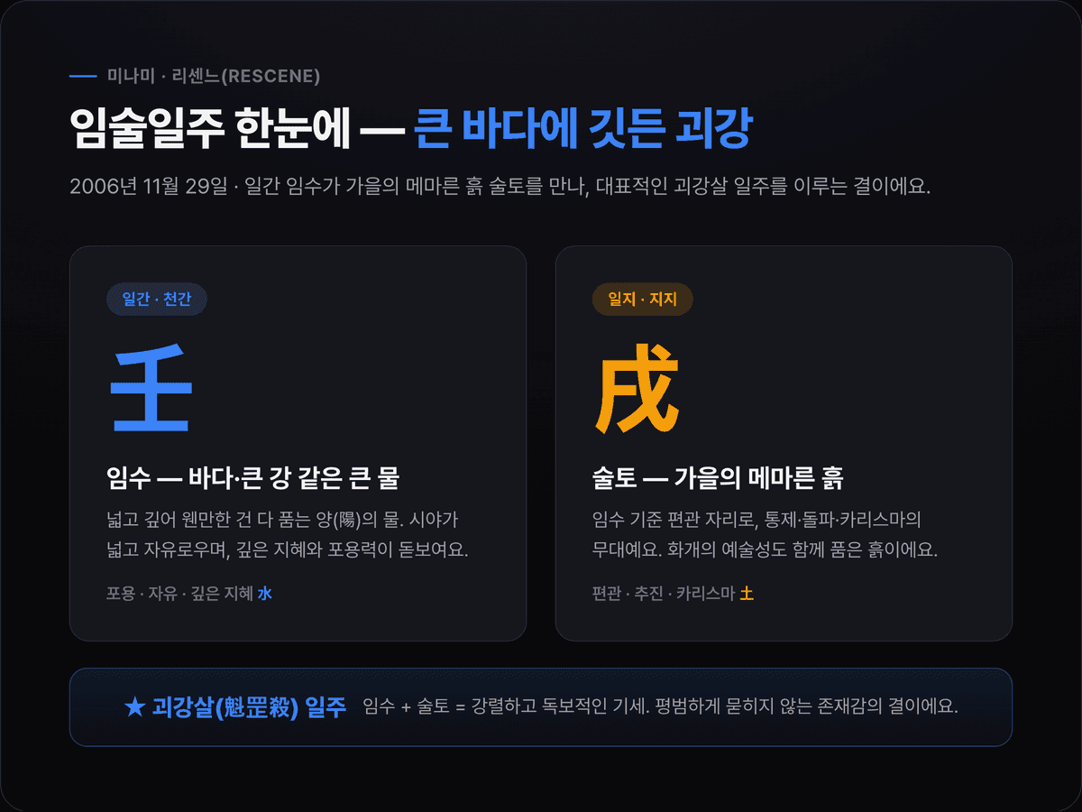 임술일주를 한눈에 정리한 카드 — 천간 임수(바다·큰 강 같은 넓고 깊은 물)와 지지 술토(가을의 메마른 흙, 편관·화개의 자리), 그리고 임술이 괴강살 일주임을 색으로 구분해 보여주는 도식