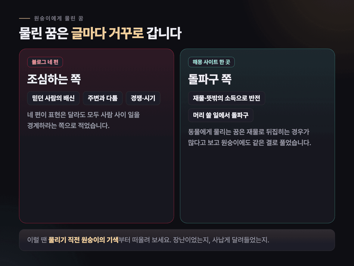 원숭이에게 물린 꿈을 두고 조심하는 쪽으로 푼 블로그 네 편과 돌파구로 푼 해몽 사이트 한 곳의 풀이를 나란히 놓은 카드
