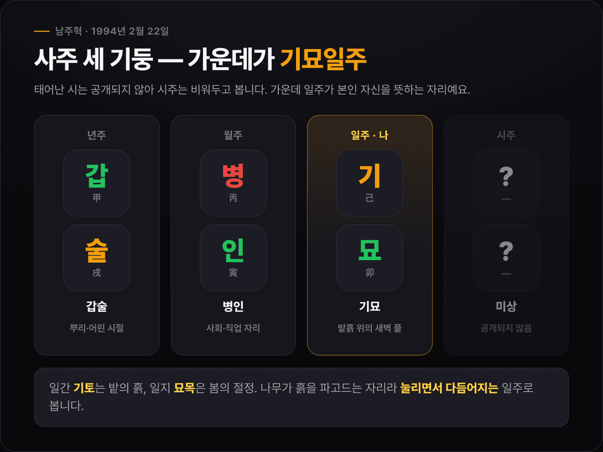 남주혁 사주 세 기둥 — 년주 갑술(甲戌), 월주 병인(丙寅), 일주 기묘(己卯, 강조), 시주 미상