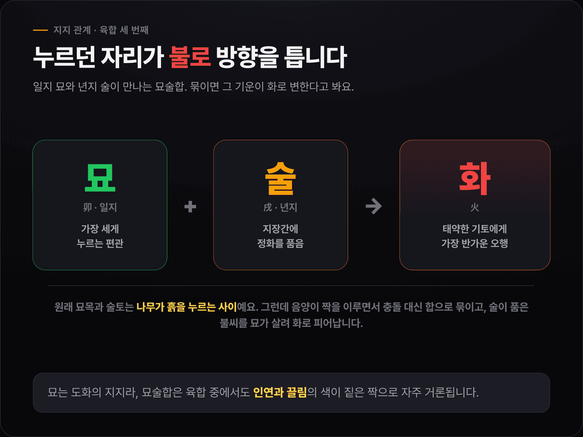 남주혁 묘술합 — 일지 묘와 년지 술이 묶여 화로 변하는 구조