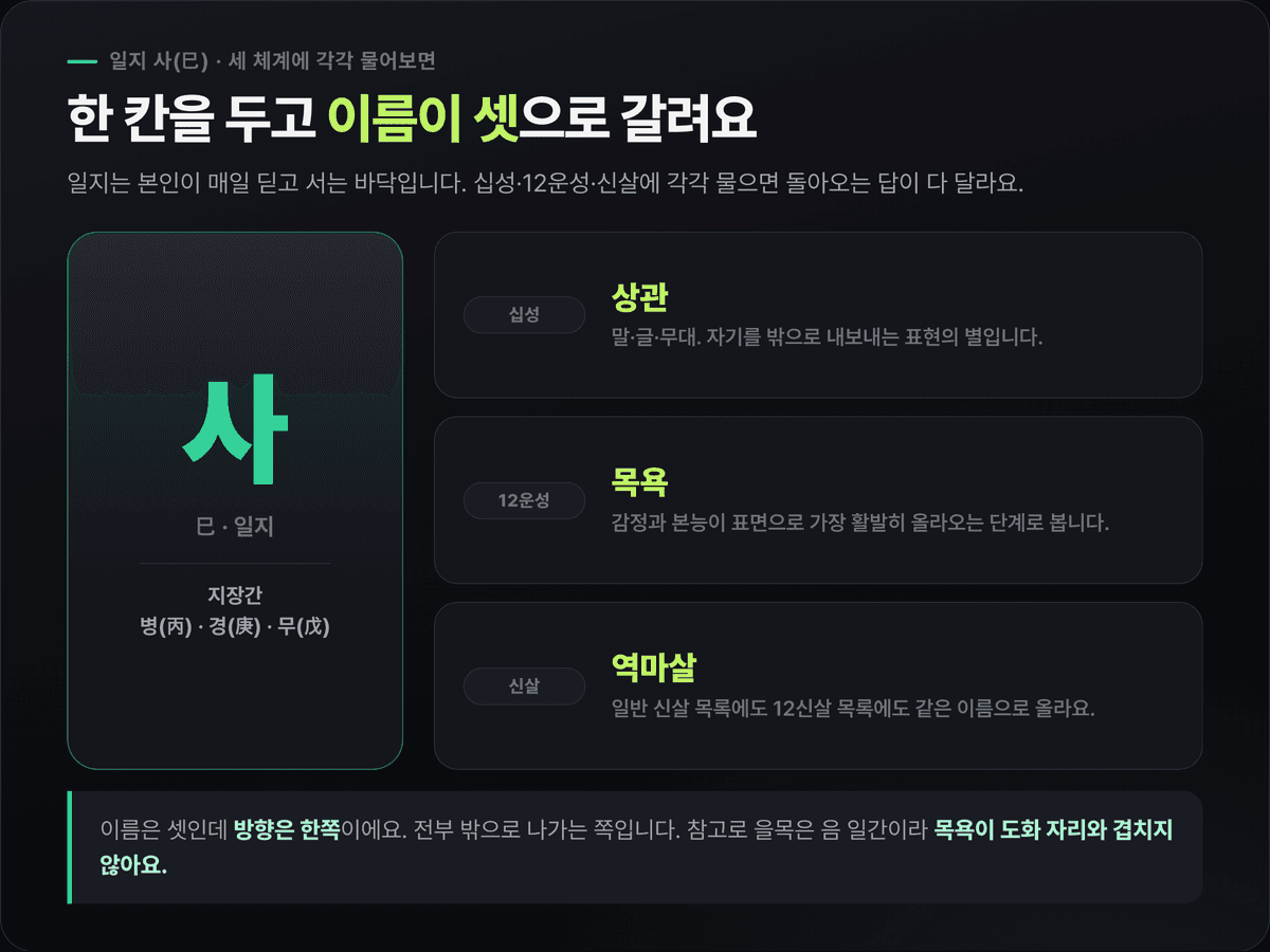 서인국 일지 사(巳)를 세 체계가 부르는 이름 — 십성 상관, 12운성 목욕, 신살 역마살