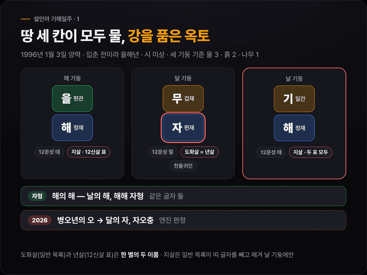 설인아의 해 을해·달 무자·날 기해 세 기둥에 십성(편관·정재·겁재·편재·정재)과 12운성(태·절·태)을 붙이고, 달의 자에 도화·년살·천을귀인, 해와 날의 해에 지살을 표시한 원국 도식. 해해 자형과 2026년 오가 자를 치는 자오충을 함께 표시