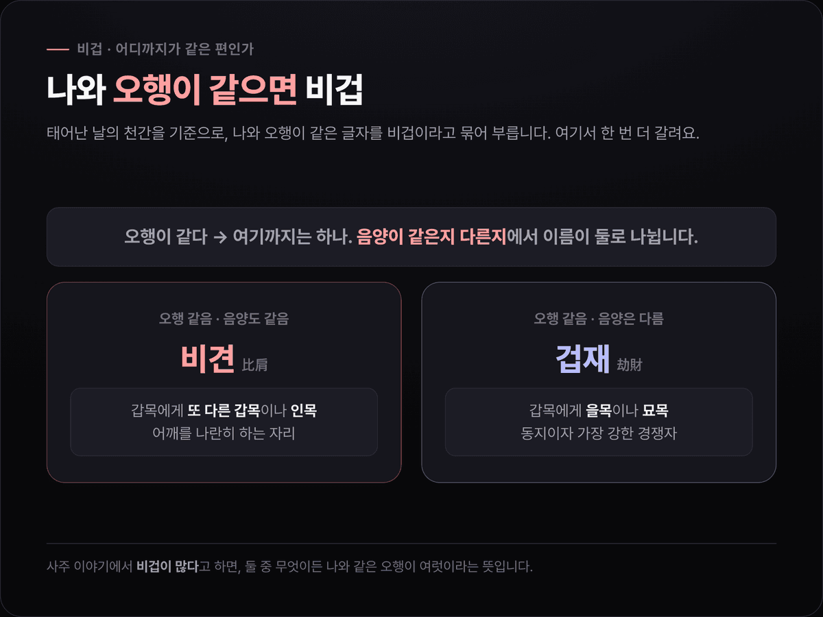 비견과 겁재가 갈리는 조건 도표 — 나와 오행이 같고 음양도 같으면 비견, 오행은 같고 음양이 다르면 겁재로 나뉘는 구조