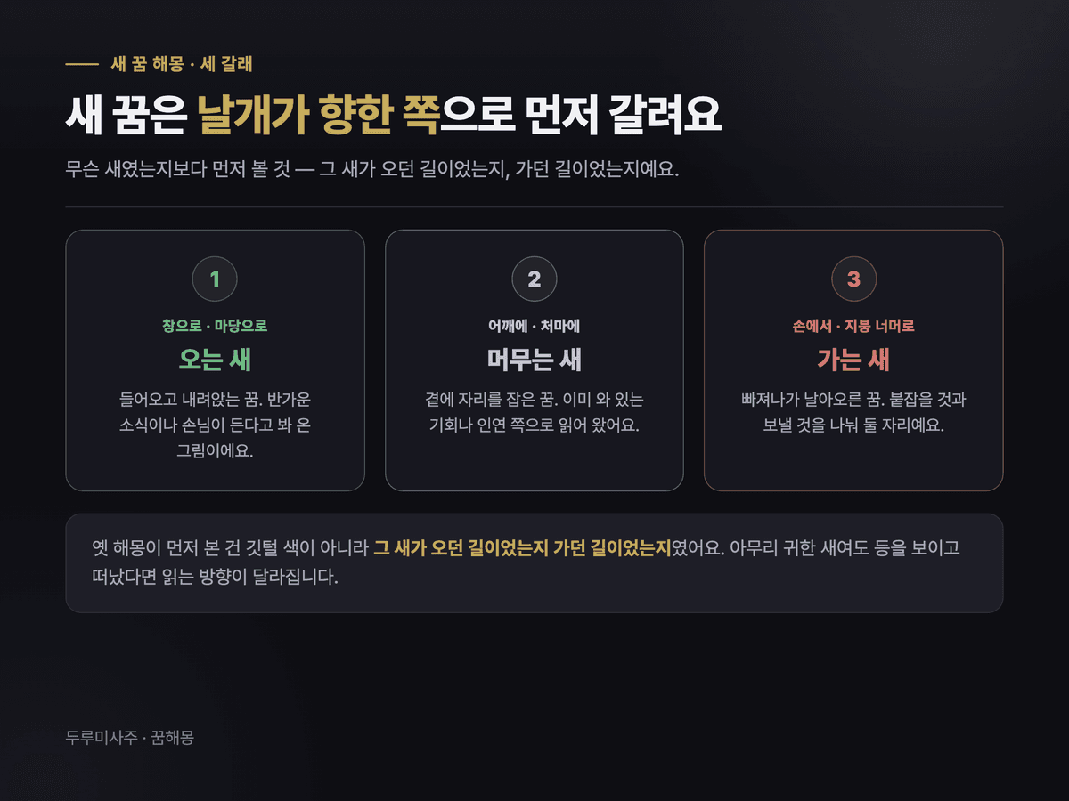 새 꿈을 내 쪽으로 오는 새, 곁에 머무는 새, 등을 보이고 떠나는 새 세 갈래로 나눈 대비 카드