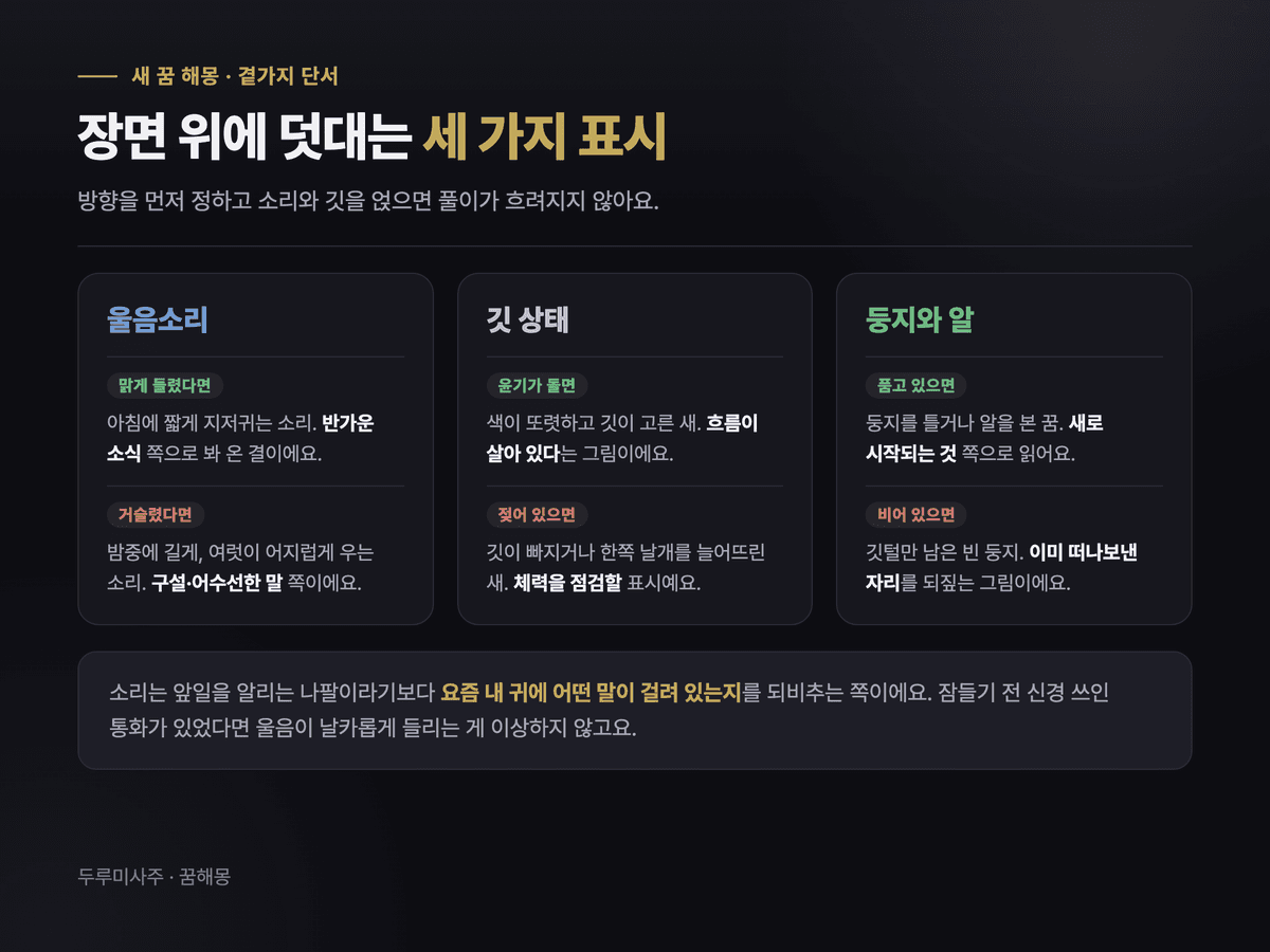 새 꿈에 얹히는 곁가지 단서를 울음소리·깃 상태·둥지와 알 세 항목으로 정리한 카드