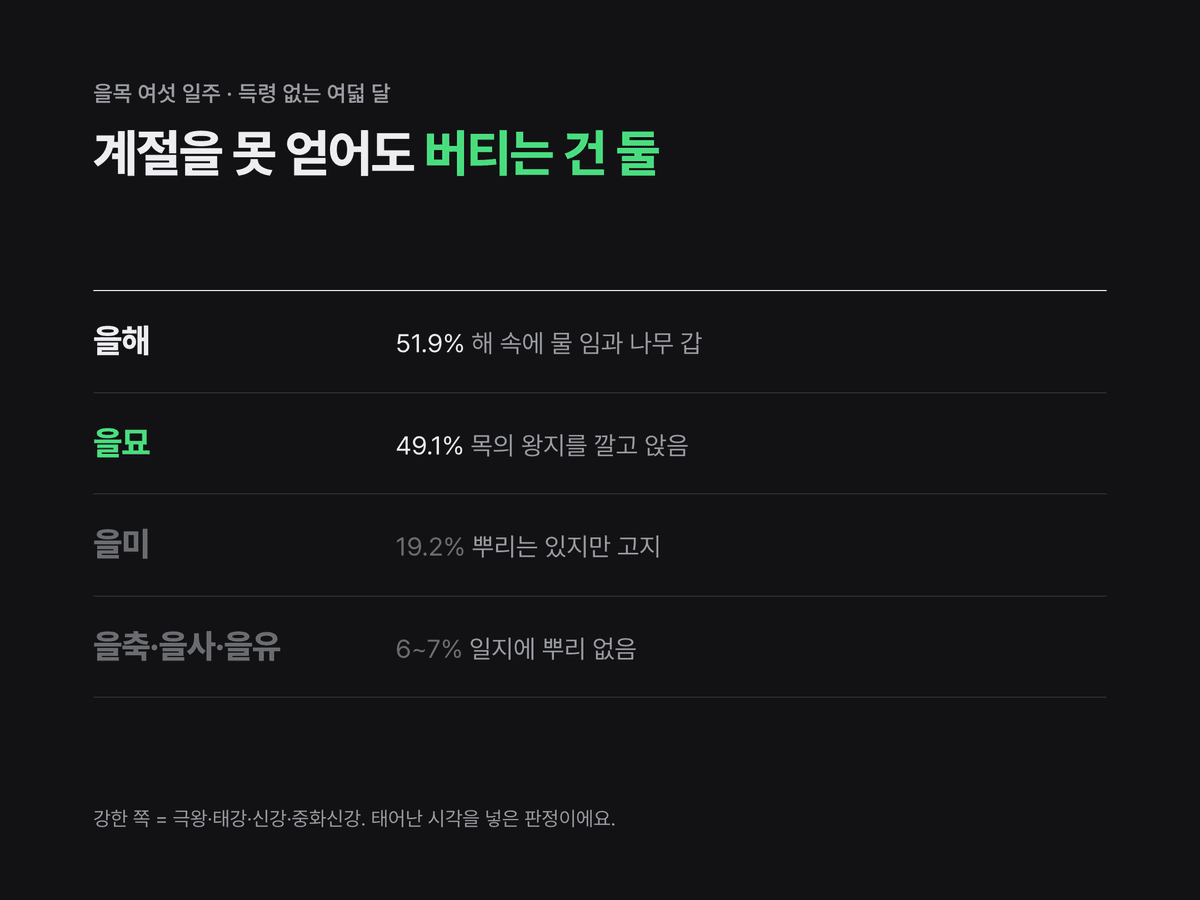 득령을 못 얻은 여덟 달에 태어난 을목 여섯 일주의 강한 쪽 비율을 을해 51.9퍼센트, 을묘 49.1퍼센트, 을미 19.2퍼센트, 을축·을사·을유 6~7퍼센트의 네 줄로 정리한 미니멀 다크 카드