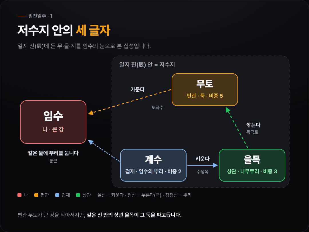 임진일주의 일지 진 안에서 편관 무토가 임수를 가두고, 상관 을목이 그 무토를 파고들며, 겁재 계수가 임수의 뿌리가 되는 관계를 나타낸 도식