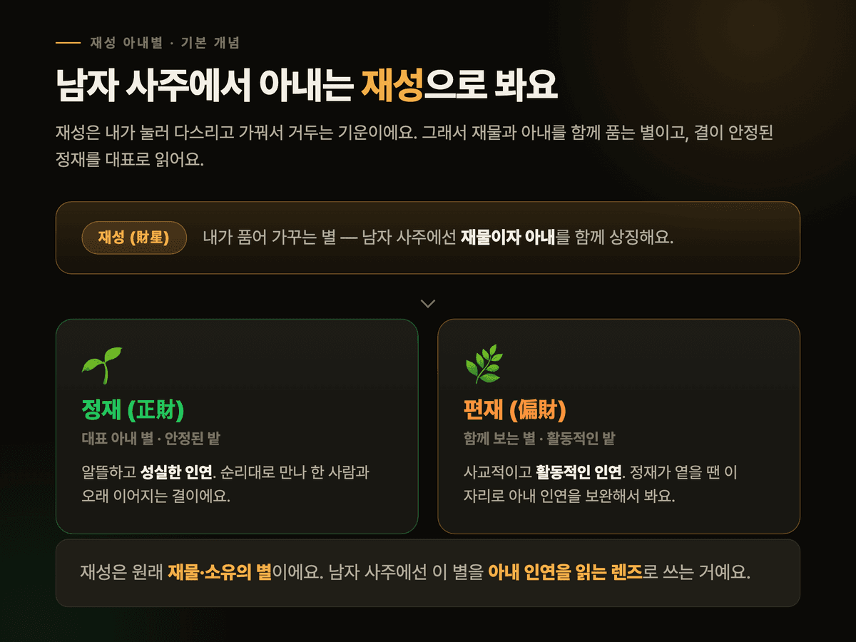 남자 사주에서 아내를 뜻하는 재성이 재물과 아내를 함께 품는 이중 상징이며 정재·편재 두 갈래로 나뉜다는 것을 보여주는 다크 카드