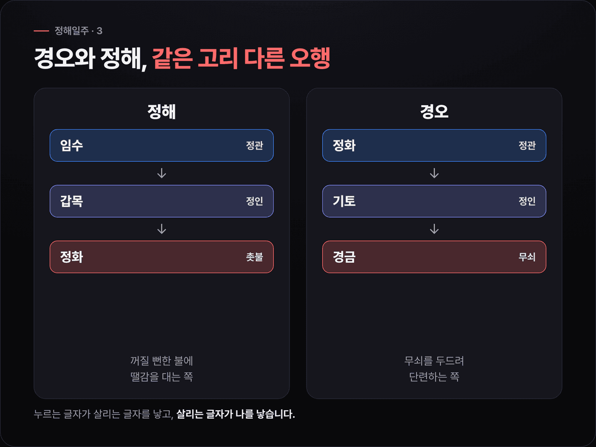 정해의 임수→갑목→정화 고리와 경오의 정화→기토→경금 고리를 좌우로 나란히 놓고 정관·정인 자리를 같은 색으로 맞춘 비교 도식