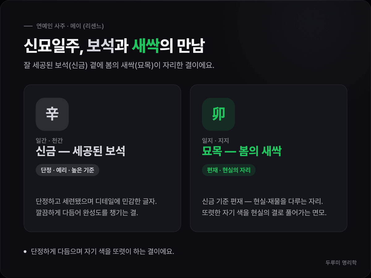 신묘일주의 천간 신금(세공된 보석)과 지지 묘목(봄의 새싹·편재 자리)을 나란히 풀어 보여주는 도식 카드