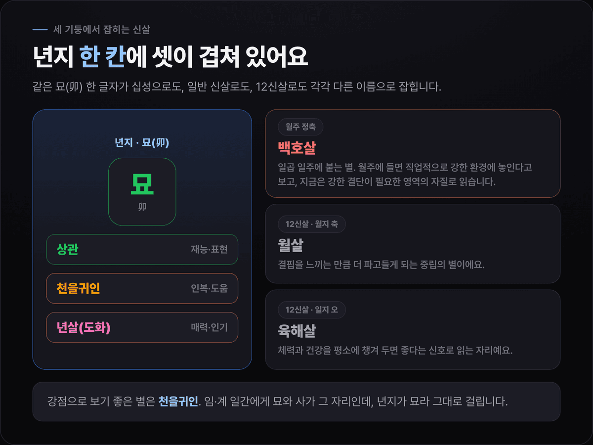 노윤서 신살 카드 — 년지 묘 한 칸에 상관·천을귀인·년살(도화)이 겹치고, 월주 정축에 백호살, 월지 축에 월살, 일지 오에 육해살
