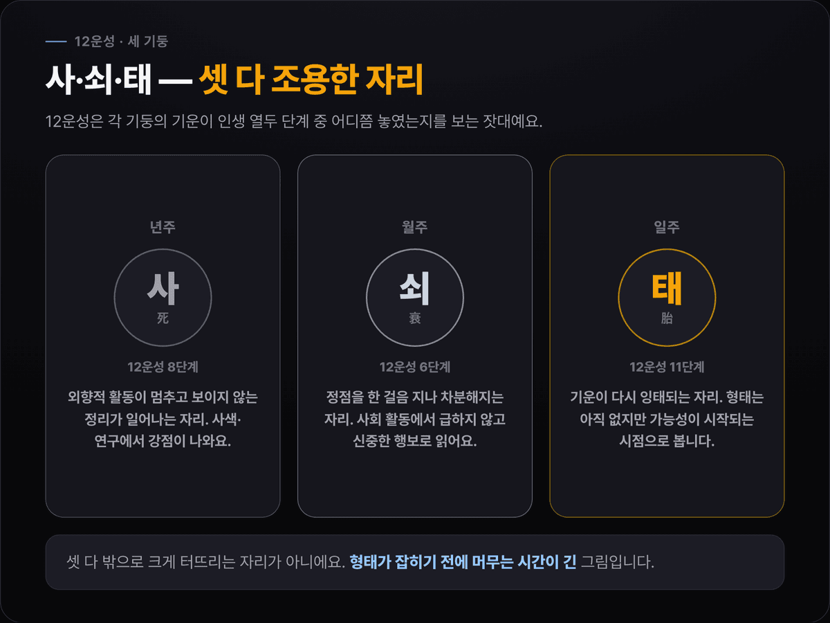 노윤서 12운성 카드 — 년주 사(死), 월주 쇠(衰), 일주 태(胎) 세 단계와 각 자리의 의미