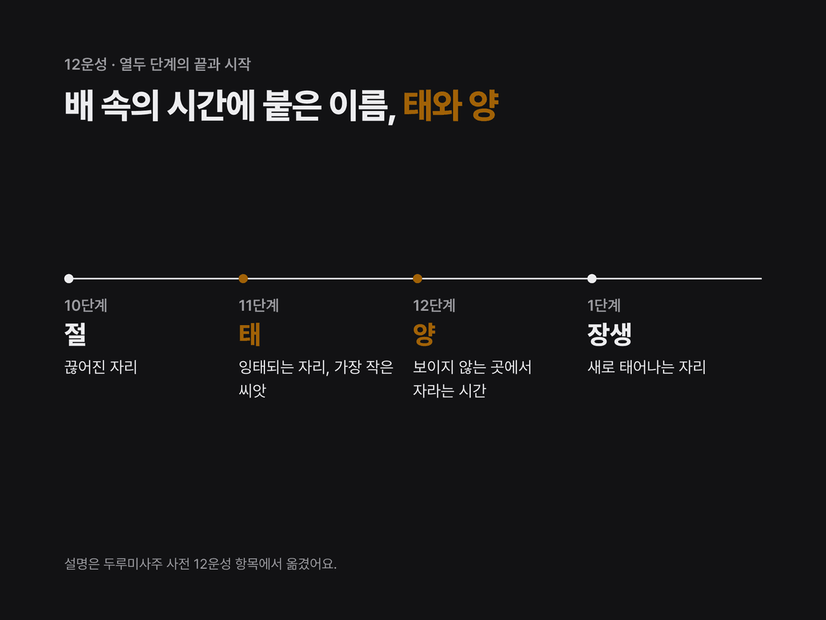 12운성의 절, 태, 양, 장생 네 단계를 가로선 위에 차례로 놓고 태와 양에 사전 설명을 짧게 옮겨 적은 카드