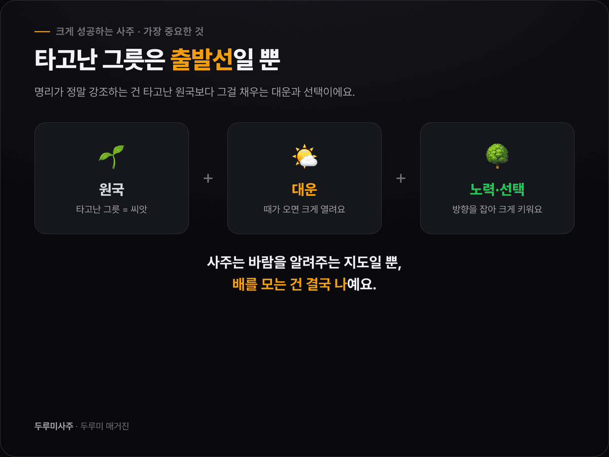 타고난 원국이라는 씨앗에 대운과 노력·선택이라는 물이 더해져 큰 나무로 자라는 성장 은유 일러스트