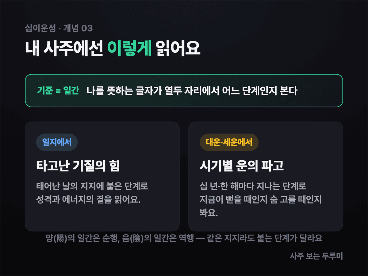 내 사주에서 십이운성을 읽는 법을 정리한 이미지 — 일간을 기준으로 일지에서 타고난 기질을, 대운과 세운의 흐름에서 시기별 운의 파고를 읽는다는 세 갈래 설명