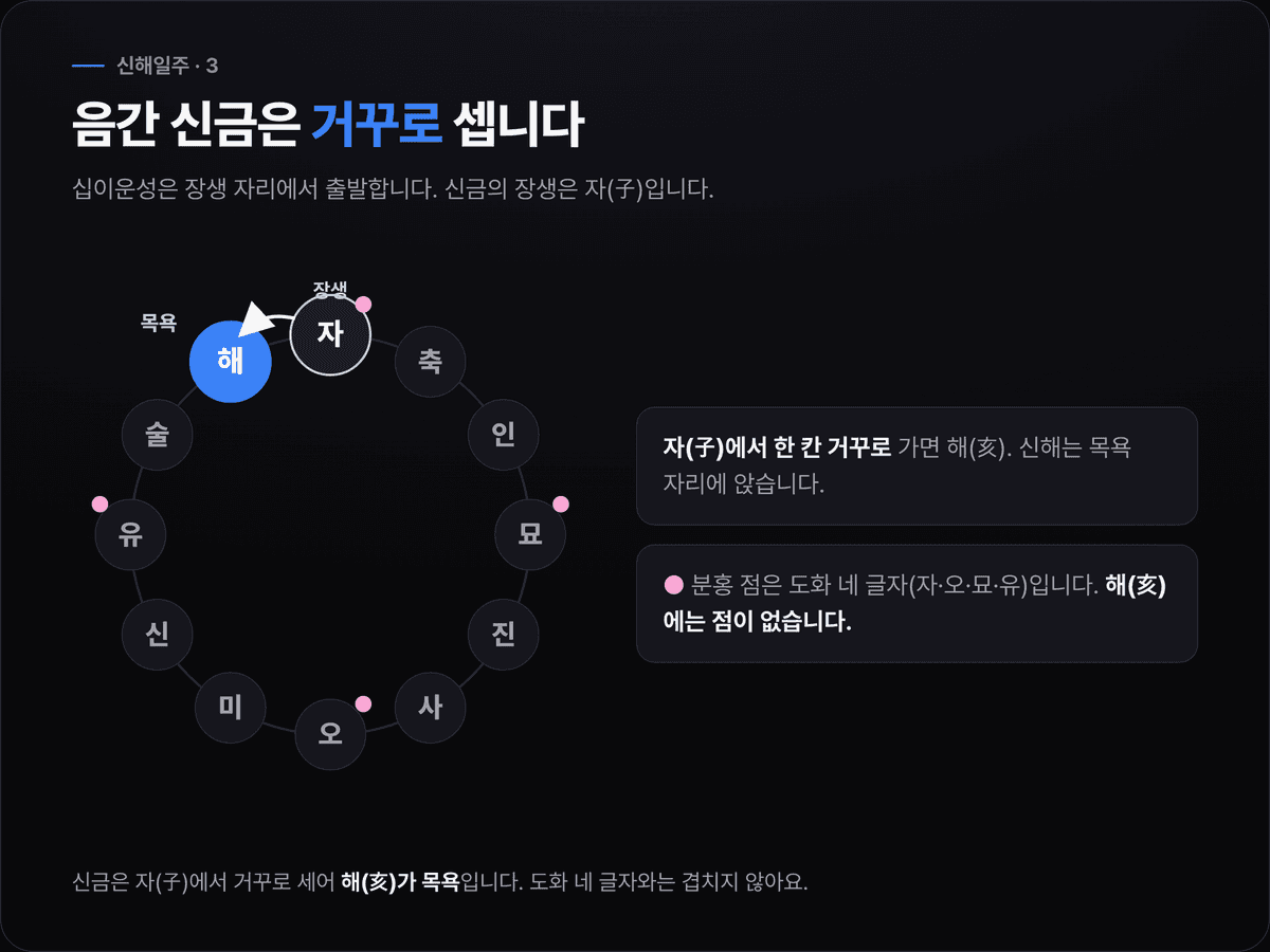 음간 신금의 12운성을 장생 자에서 역행으로 세어 해가 목욕 자리임을 보여 주고, 도화 글자 자·오·묘·유와는 겹치지 않음을 표시한 원형 도식
