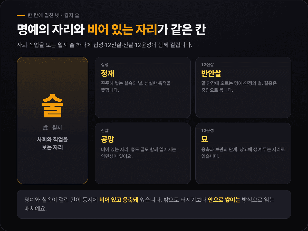 소지섭 월지 술 한 칸에 겹친 넷 — 정재·반안살·공망·12운성 묘