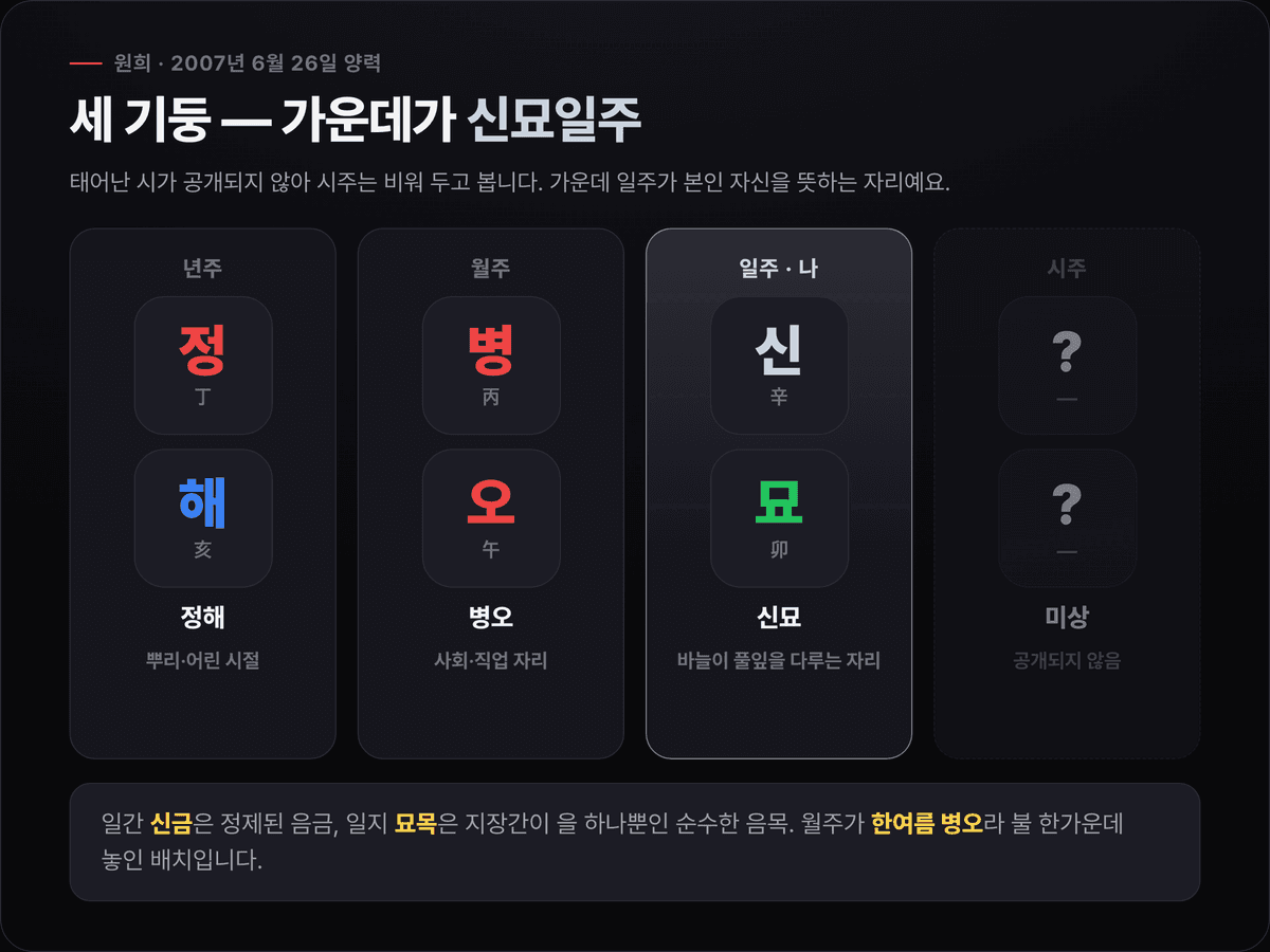 원희 사주 세 기둥 — 년주 정해(丁亥), 월주 병오(丙午), 일주 신묘(辛卯, 강조), 시주 미상