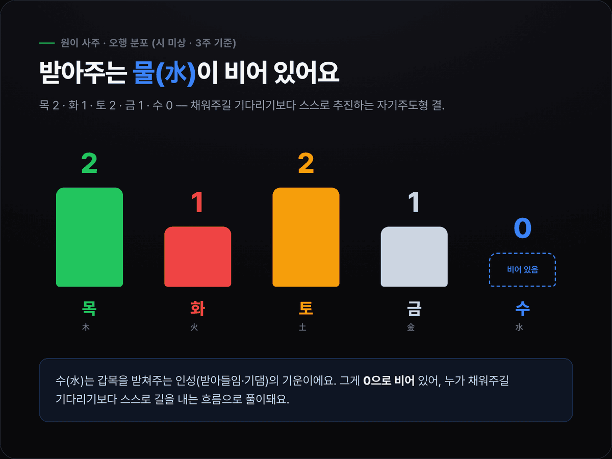 원이 사주의 오행 분포를 막대로 보여주는 카드 — 목 2, 화 1, 토 2, 금 1, 수 0으로 수(물)가 비어 있음을 강조