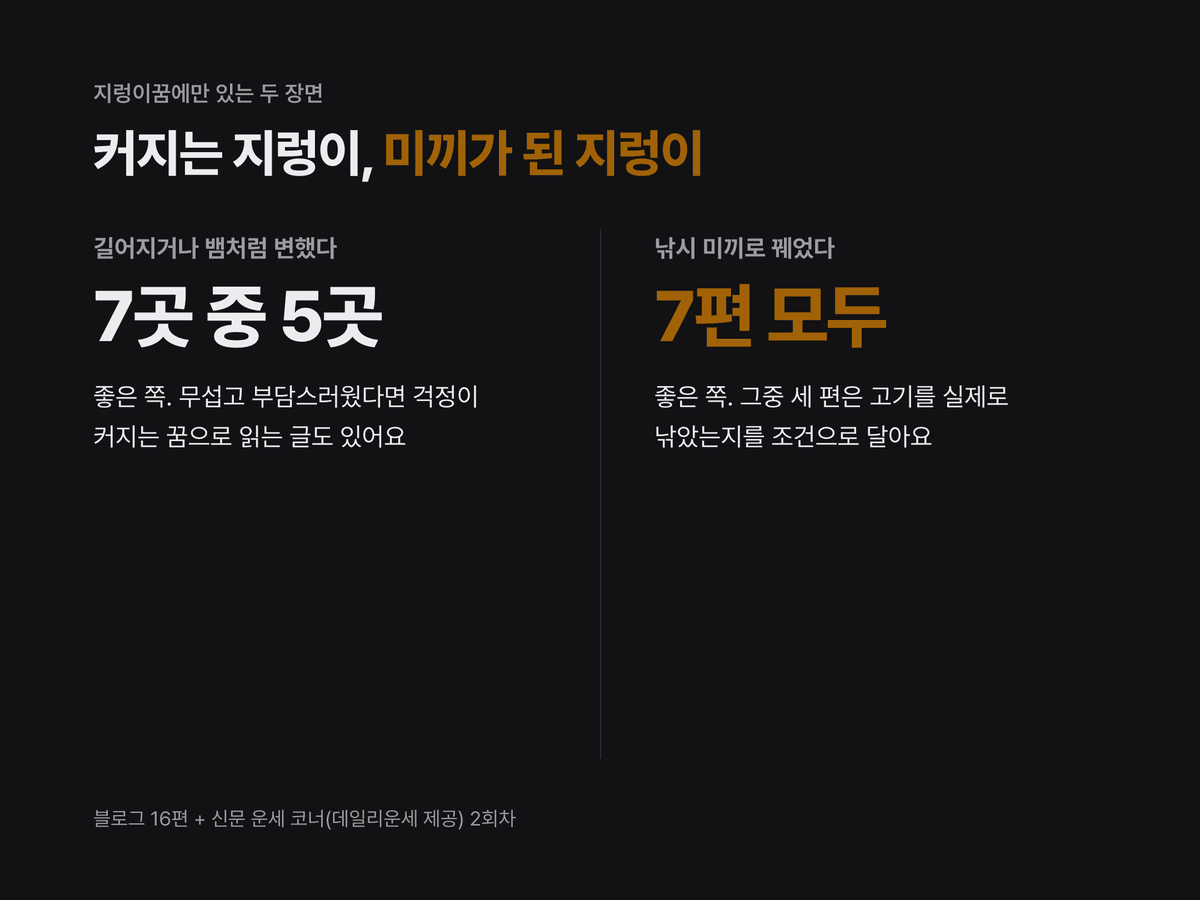 지렁이가 길어지거나 뱀으로 변한 꿈과 낚시 미끼로 쓴 꿈을 좌우로 놓고, 해몽 글들이 각각 어떤 조건을 달았는지 적은 카드